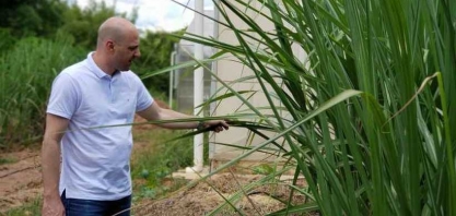 EMBRAPII, que já teve R$ 1 bi em investimento, fomenta inovação no país