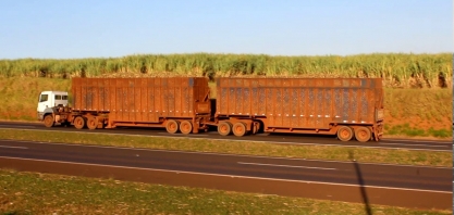 São Martinho reduz previsão de crescimento na moagem de cana em 19/20