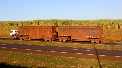 São Martinho reduz previsão de crescimento na moagem de cana em 19/20