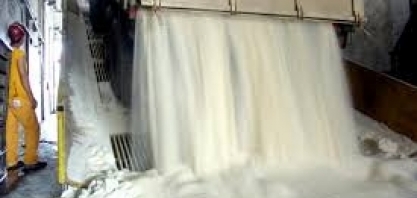 AÇÚCAR/CEPEA: menor produção limita exportações em jan/19