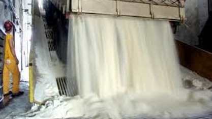 AÇÚCAR/CEPEA: menor produção limita exportações em jan/19