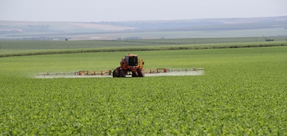 Benefícios da reforma de cana consorciada com a cultura da soja conquistam o setor sucroenergético