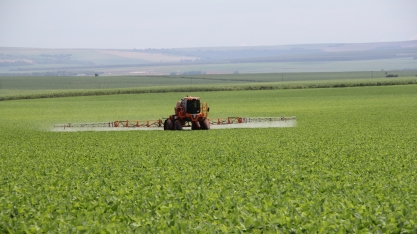 Benefícios da reforma de cana consorciada com a cultura da soja conquistam o setor sucroenergético