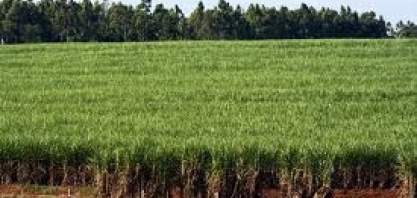 CAR é obrigatório para realizar operações de crédito