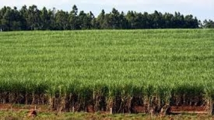 CAR é obrigatório para realizar operações de crédito