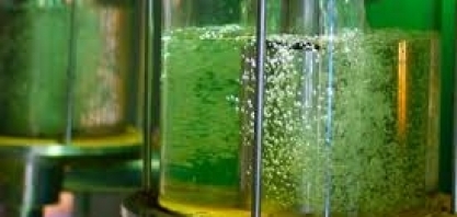 ANP: etanol cai em 14 estados e no DF; preço médio recua 0,57 no país