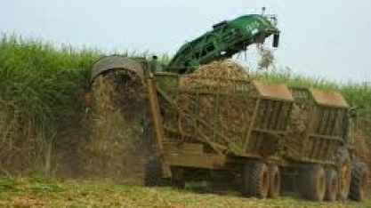 Usinas de MS já moeram 46,8 milhões de toneladas de cana e processamento deve superar o da safra passada