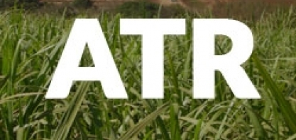 Paraíba: ATR líquido valoriza no mês de janeiro