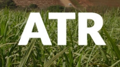 Paraíba: ATR líquido valoriza no mês de janeiro