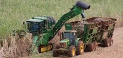 DREYFUS prevê troca mais rápida entre açúcar e etanol em usinas do brasil