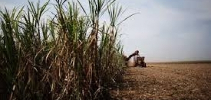 Depreciação x exaustão do canavial