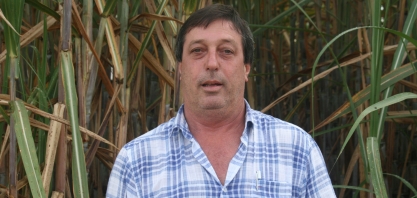 Canavicultor de Taquaritinga se torna viveirista e expande os horizontes de seu negócio