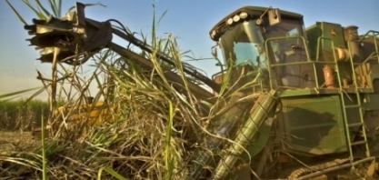 Consumo de etanol hidratado dispara em 2018 e tem recorde; gasolina perde mercado, diz Unica