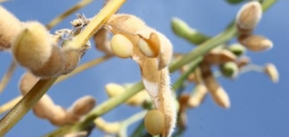 Paraguai terá complexo de combustíveis renováveis de 2ª geração