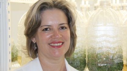 Silvana Creste, vice-diretora do Centro de Cana do IAC, no VIII Encontro Cana Substantivo Feminino