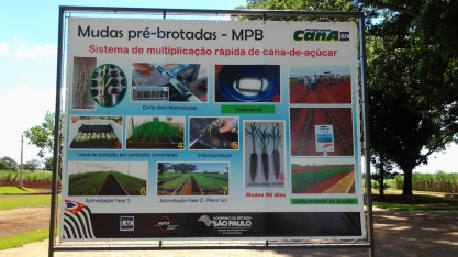 Produtor desenvolve 100% das MPBs utilizadas em suas reformas de canavial, que somam cerca de 1500 hectares anuais