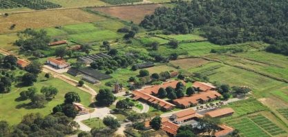 Embrapa Meio-Norte oferece 41 vagas para estágio