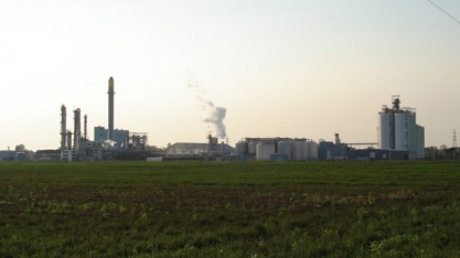 Pesquisa indica melhores fungos para obter enzima usada na indústria