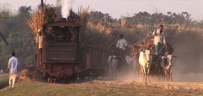 Açúcar: produção da Índia em 2018/19 atinge 18,52 milhões de t até 31 de janeiro, alta de 8,15%
