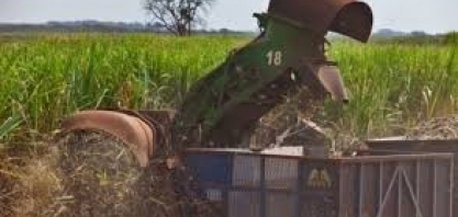 ‘Pró- Renovabio’ assume a Unica