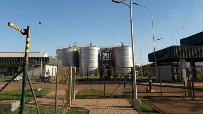 Etanol de milho deve gerar R$ 400 mi em ICMS no MT até 2020, prevê Sindalcool; etanolduto está em estudo