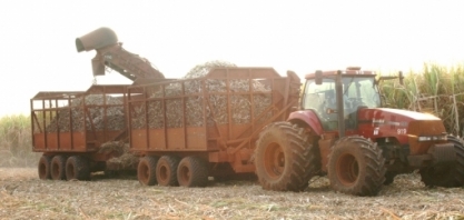 Alta do etanol do Brasil gera expectativa de colheita antecipada