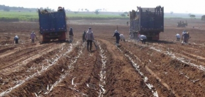 Saiba tudo sobre a reforma da Previdência