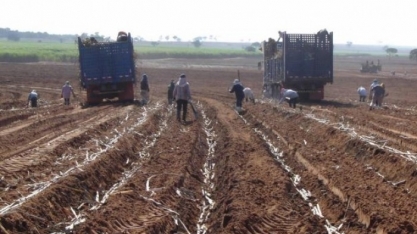 Saiba tudo sobre a reforma da Previdência