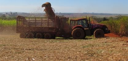CTBE divulga 36ª edição do Boletim de Monitoramento da cana-de-açúcar em São Paulo e Goiás 