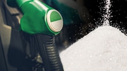 Açúcar recua nos mercados interno e externo; etanol mantém alta