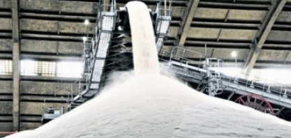 Painel contra a Índia na OMC é passo importante para o setor