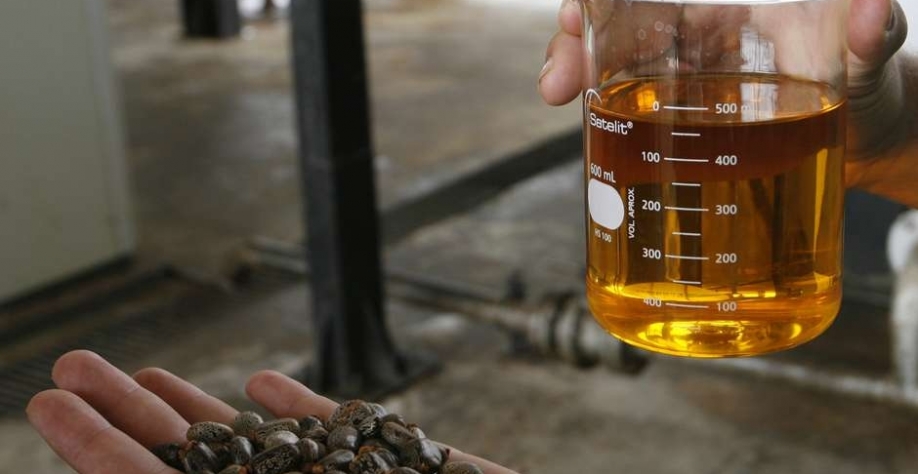 Amostra de biodiesel em refinaria do biocombustível em Iraquara, BA 31/03/2008 REUTERS/Jamil Bittar Foto: Reuters
