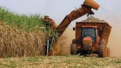 Brasil tem de investir R$ 82 bi para atender demanda de combustíveis