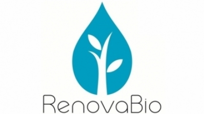 ANP aprova a realização de consulta pública sobre metas do Renovabio