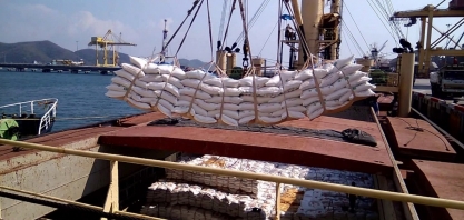 Sucden vê déficit de 4 mi t no mercado global de açúcar em 2019/20