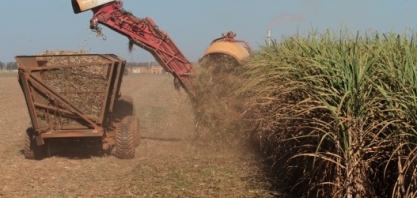 Conab realiza pesquisa de campo para levantar dados sobre cana-de-açúcar