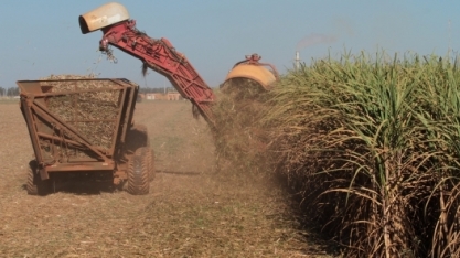 Conab realiza pesquisa de campo para levantar dados sobre cana-de-açúcar