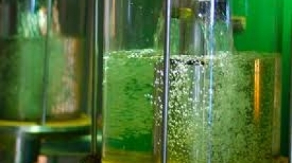 Sonegação de R$3 bi atinge setor de etanol em SP, diz Plural, que apela por reforma