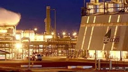 Companhia de Bioenergia de Angola pretende protecção da concorrência internacional
