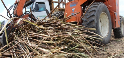 Reunião do Consecana avalia safra 18/19
