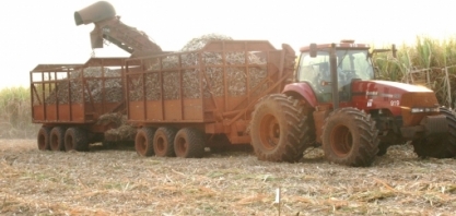 Job vê moagem de cana até 1,4% menor em 2019/20 no CS, diz que chuva não ajudou