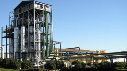 Oito usinas de cana-de-açúcar seguem em atividade; moagem chega a 564,14 mi/t