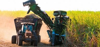 Com moagem na entressafra, MS atinge 47 milhões de toneladas de cana processadas e supera safra passada