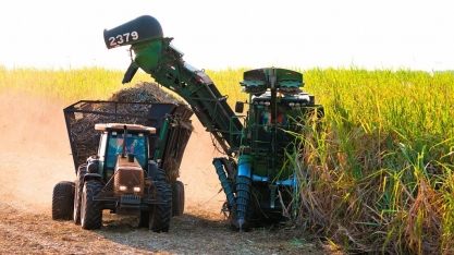 Com moagem na entressafra, MS atinge 47 milhões de toneladas de cana processadas e supera safra passada
