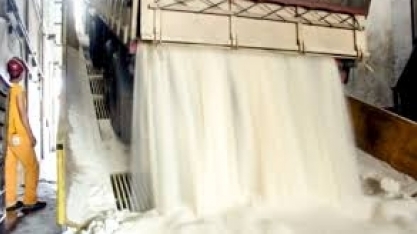 Preço do açúcar avança na ICE e maio é negociado a 12,84 cents/libra