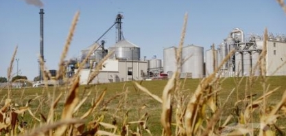 Empresários de Mato Grosso apostam na industrialização do milho