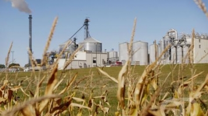 Empresários de Mato Grosso apostam na industrialização do milho