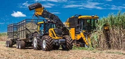 Centro-sul deve ter salto de 7% em produção de açúcar na safra 2019/20, aponta mercado 