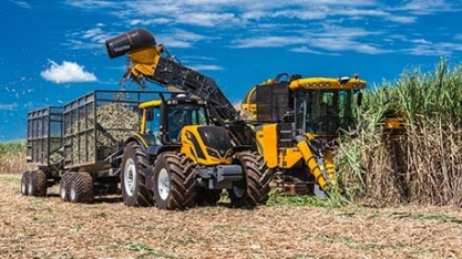 Centro-sul deve ter salto de 7% em produção de açúcar na safra 2019/20, aponta mercado 