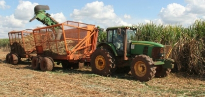 Moagem da cana-de-açúcar ultrapassa 47 milhões de toneladas em MS